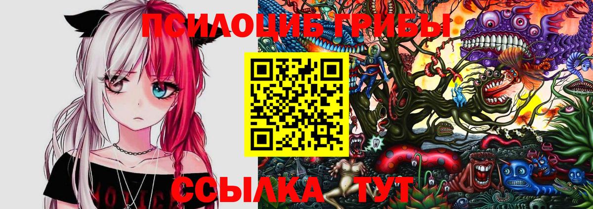 Галлюциногенные грибы прущие грибы Стрежевой