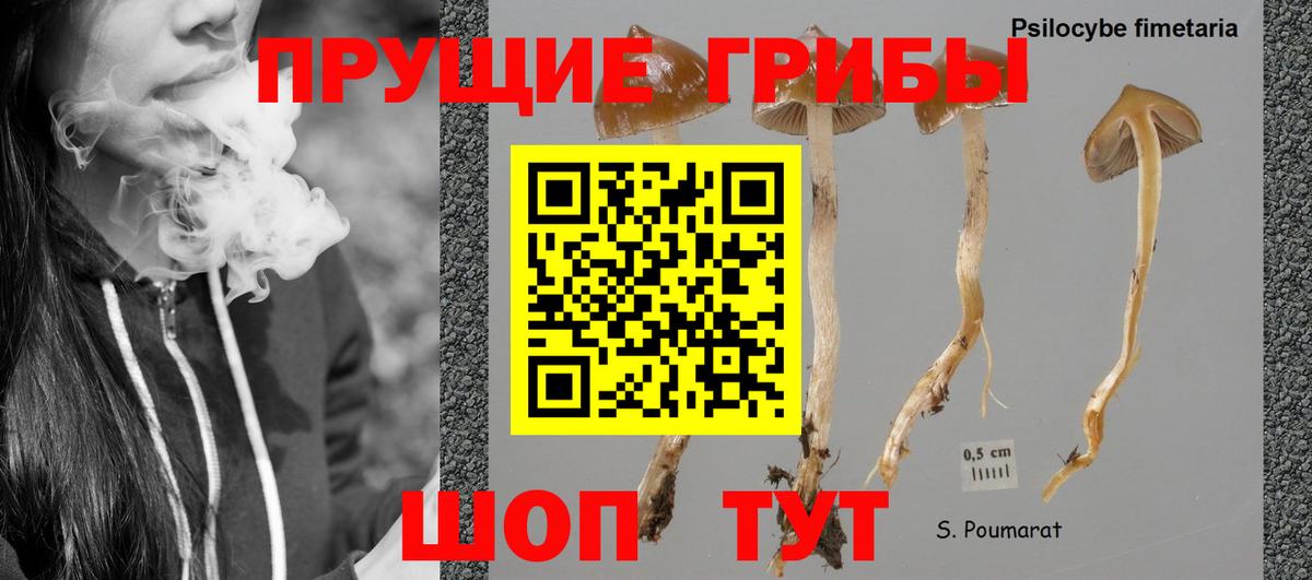 Псилоцибиновые грибы GOLDEN TEACHER  Галлюциногенные грибы мухоморы  Стрежевой  Вход с VPN 